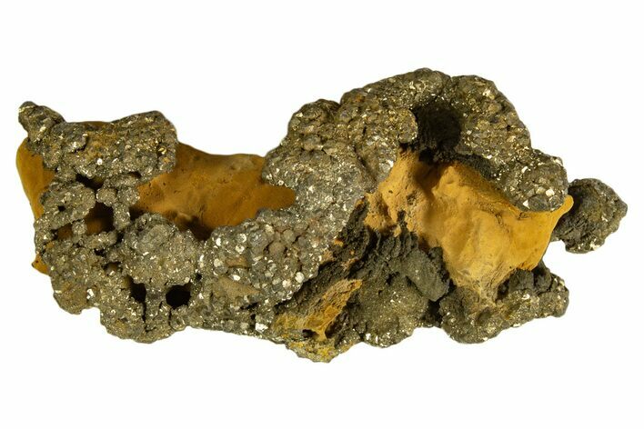 Golden Pyrite on Limonite Clay - Pakistan #337950